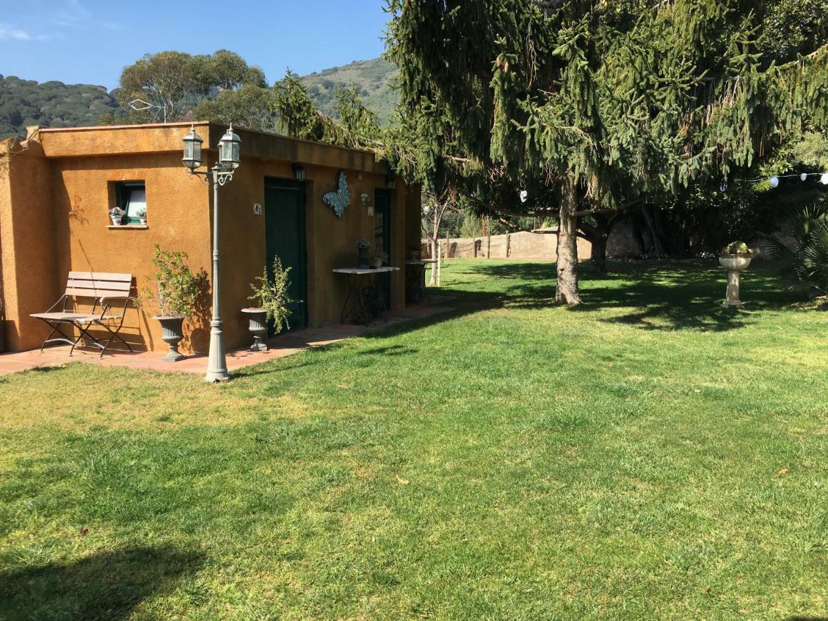 Hotel Masia Can Vive Cabrera de Mar Eksteriør billede
